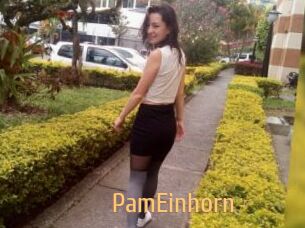 PamEinhorn