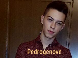 Pedrogenove