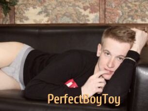 PerfectBoyToy