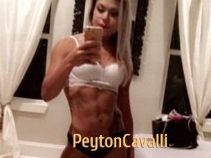 Peyton_Cavalli