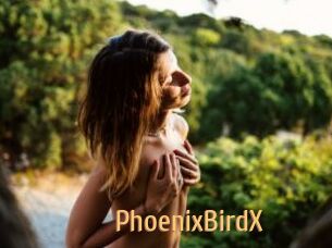 PhoenixBirdX