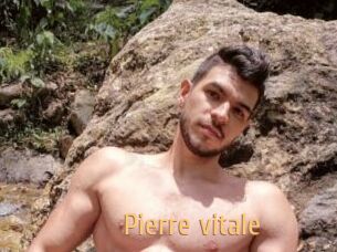 Pierre_vitale