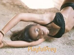 PlayfulPrey