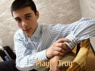 PlayfulTroy