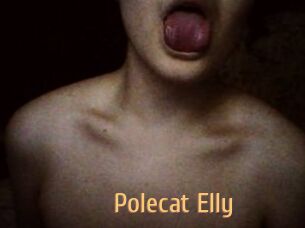 Polecat_Elly