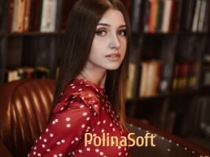 PolinaSoft