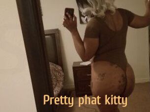 Pretty_phat_kitty