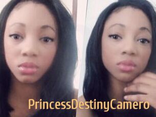 PrincessDestinyCamero