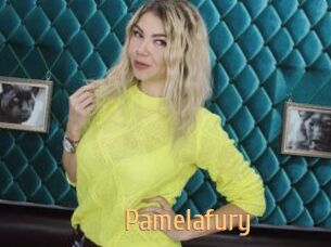 Pamelafury