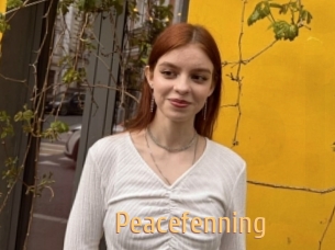 Peacefenning