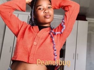 Peanutbug