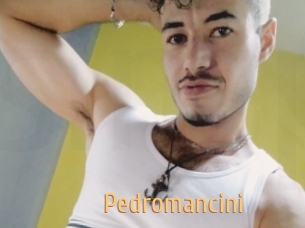 Pedromancini