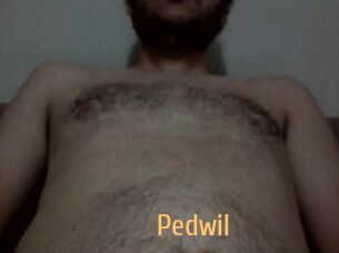 Pedwil