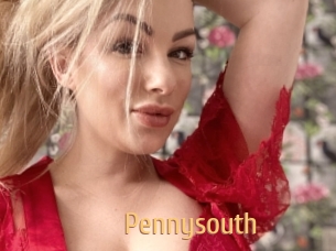 Pennysouth