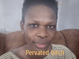 Pervated_bitch