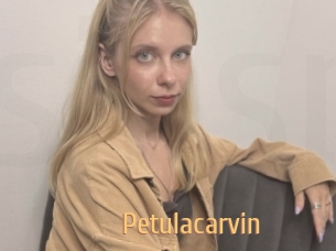 Petulacarvin