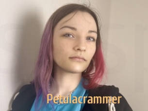 Petulacrammer