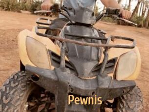 Pewnis