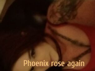 Phoenix_rose_again