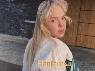 Plantarosa