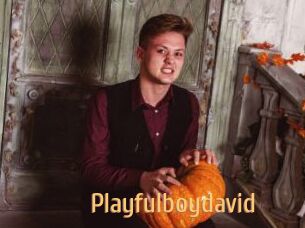 Playfulboydavid