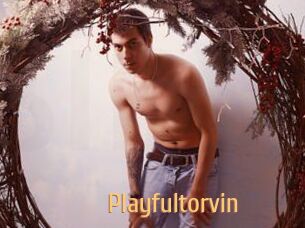 Playfultorvin