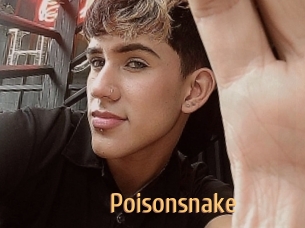 Poisonsnake