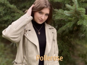 Pollerose