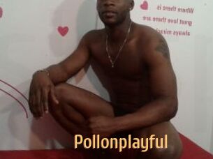 Pollonplayful