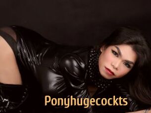 Ponyhugecockts