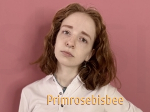 Primrosebisbee