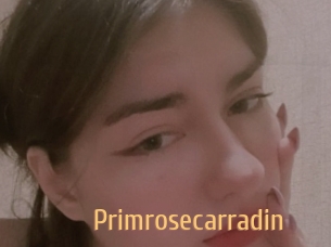 Primrosecarradin