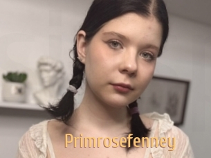 Primrosefenney