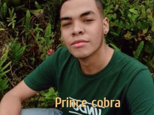 Prince_cobra