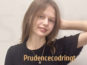 Prudencecodringt