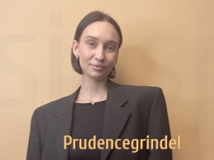 Prudencegrindel