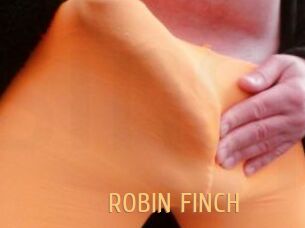 ROBIN_FINCH