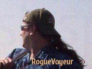 RogueVoyeur