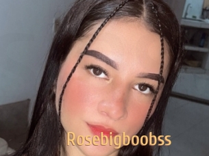 Rosebigboobss