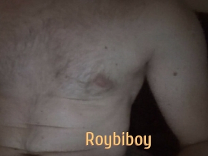 Roybiboy