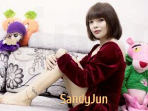 SandyJun