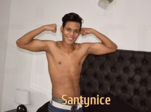Santynice