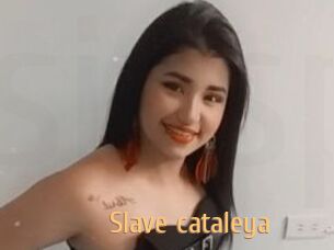 Slave_cataleya