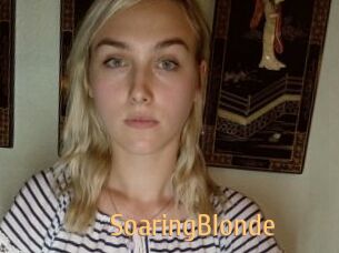 SoaringBlonde