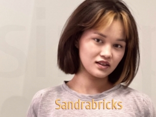 Sandrabricks