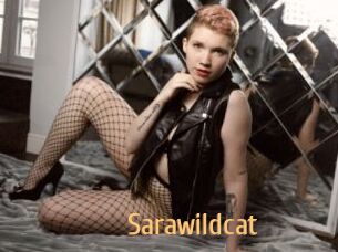 Sarawildcat