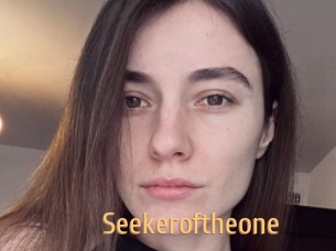 Seekeroftheone