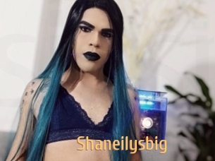 Shaneilysbig