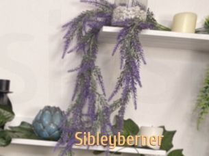 Sibleyberner