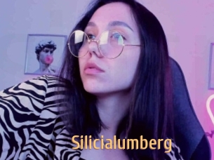 Silicialumberg